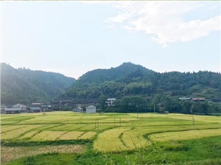 基地展示